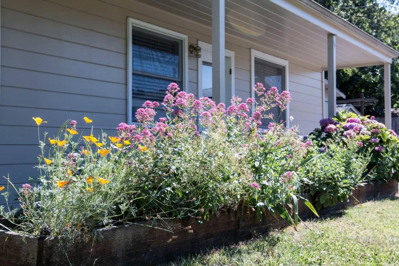 West End Neighborhood Cottage サンタローザ エクステリア 写真